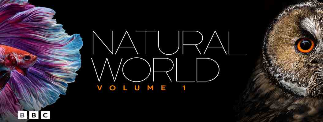 BBC纪录片《自然世界 Natural World》第1-7季全42集 英语中英双字 无水印纯净版 1080P
