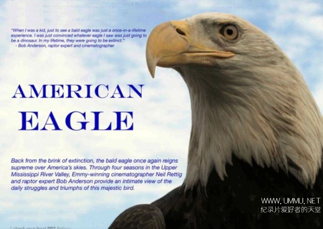 pbs纪录片美国鹰americaneagle2008英语中英双字720pavi165g美国与