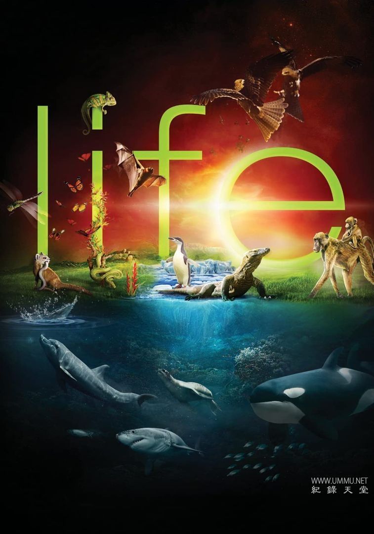 BBC纪录片《生命 Life》全10集 中英双语中英双字 终极高码收藏版